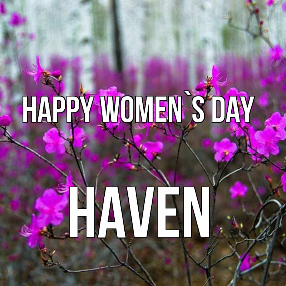 Greetings card с именем, Haven happy women`s day дикие цветы Greetings with text for free download 